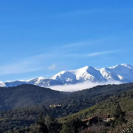 Mas Del Sola